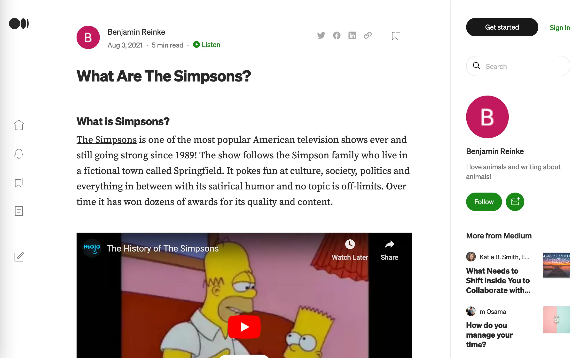 Screenshot of a Medium article by Benjamin Reinke with the title "What Are The Simpsons" and an earnest description about the TV show.