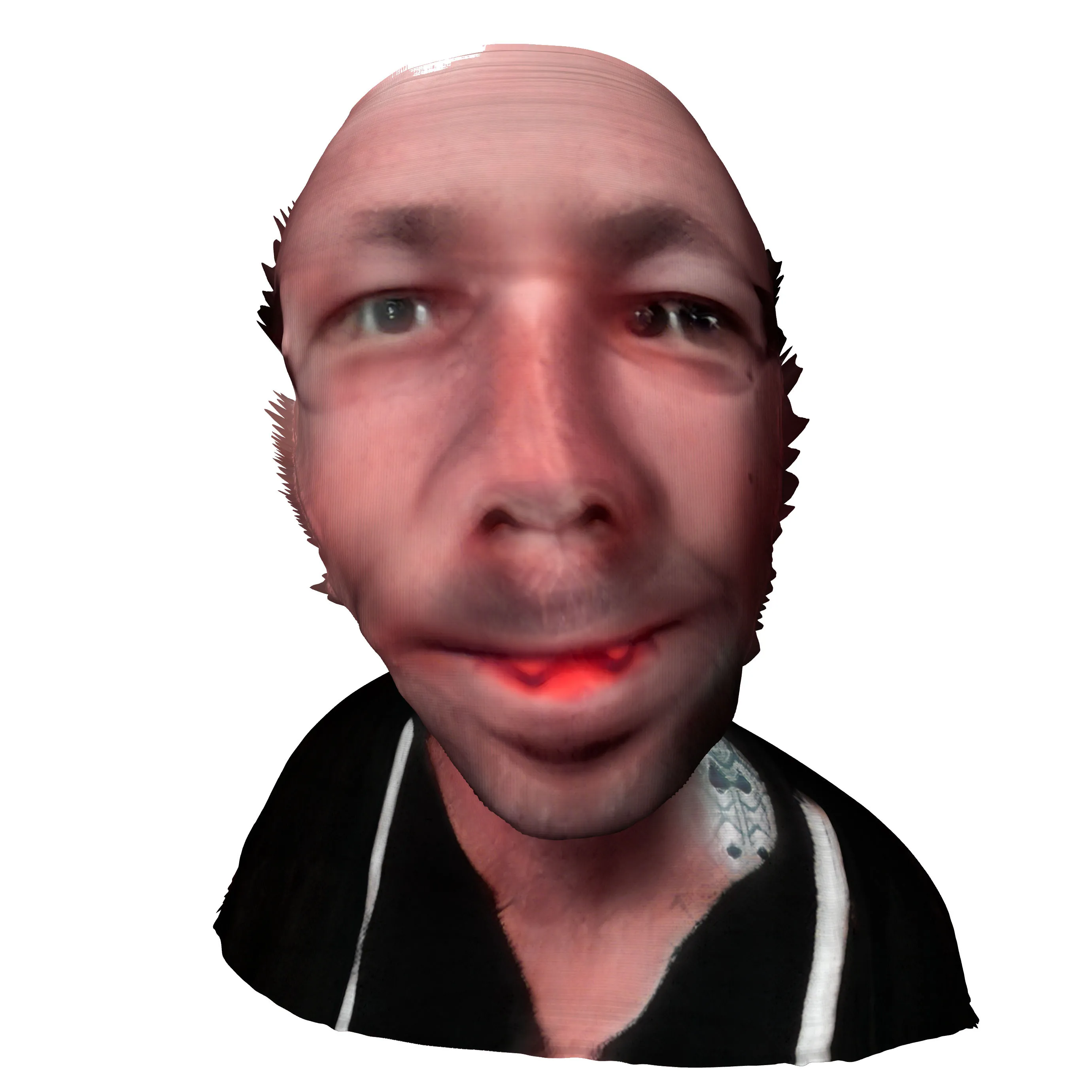 AI rendered 3D model from SELF ABSORBED by Tim Murray-Browne showing a distorted headshot of Tim