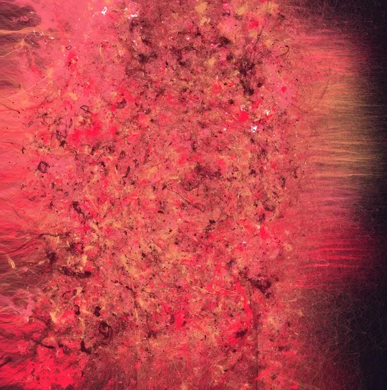 Untitled generative sketch by Tim Murray-Browne