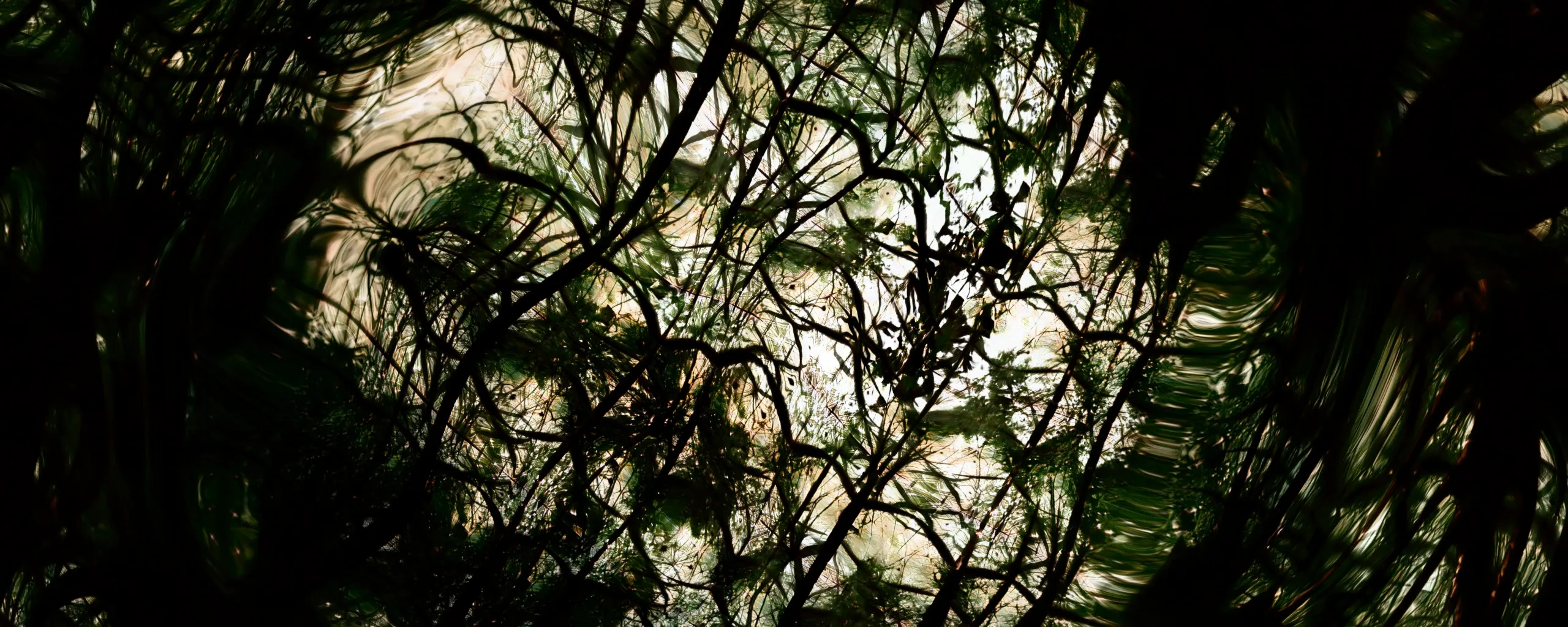 AI-rendered abstract image reminiscent of dense foliage. Still from “World Without End” by Tim Murray-Browne.