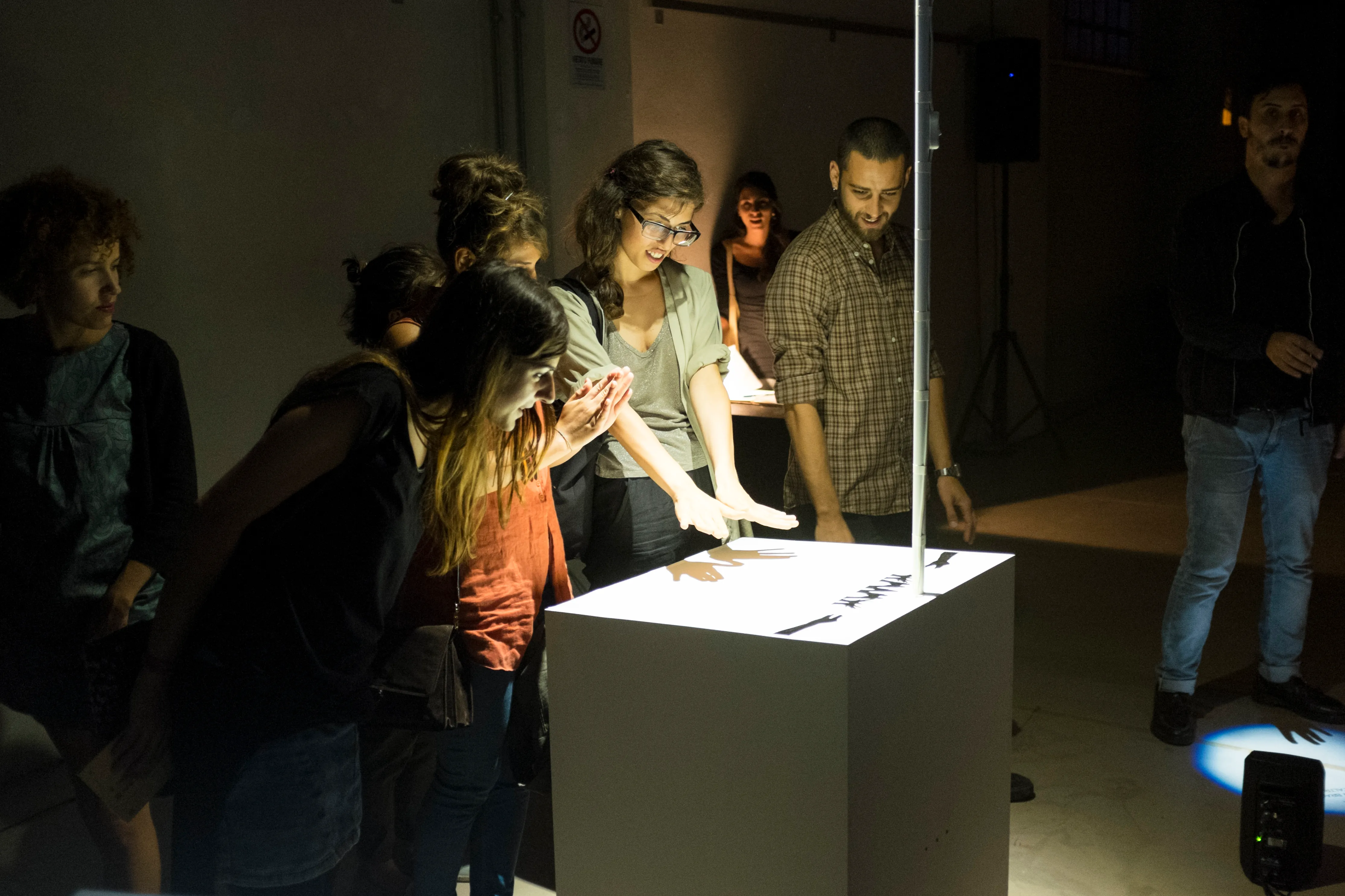 Visitors cast shadows with their hands on The Animal Kingdom, part of the Cave of Sounds, at the 90dB Festival of Sonic Arts, Rome, 2014. Photo: Tim Murray-Browne