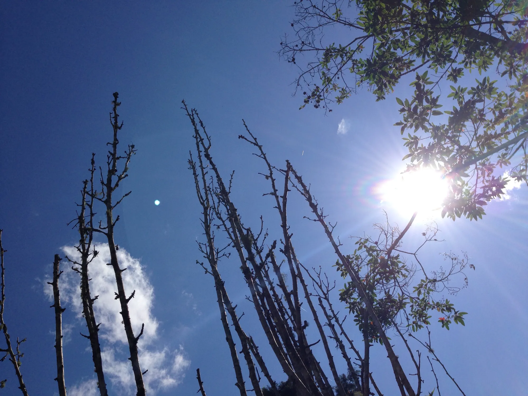 Drift residency researching digital performance and interactive sound: Blue skies in Vera Cruz