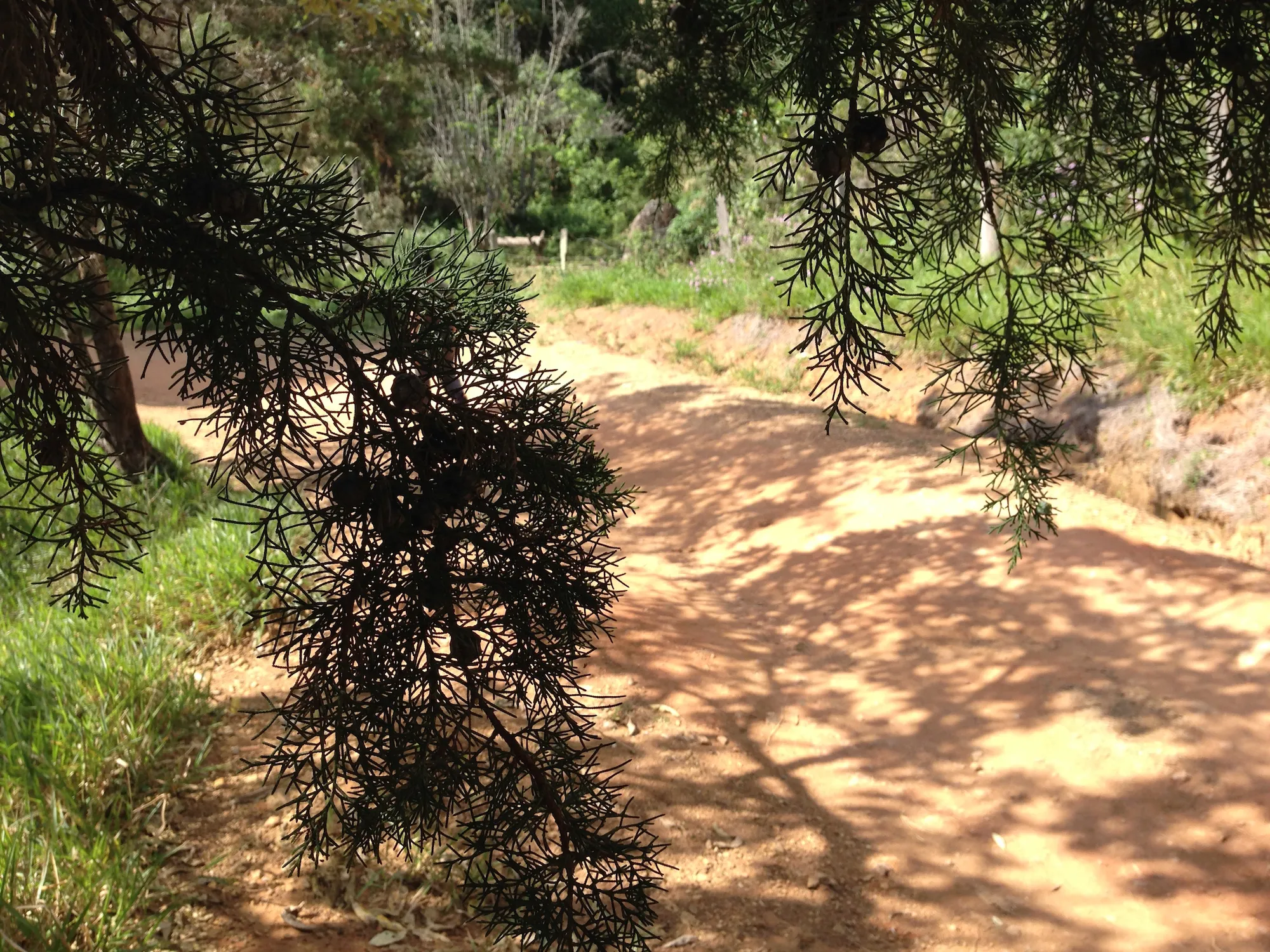 Drift residency researching digital performance and interactive sound: Light and shadow in the mountains of Vera Cruz