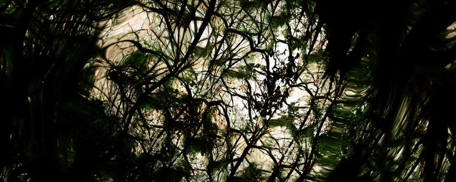 AI-rendered abstract image reminiscent of dense foliage. Still from “World Without End” by Tim Murray-Browne.